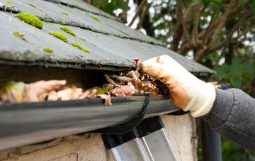 gutter cleaning Peters Marland, Devon