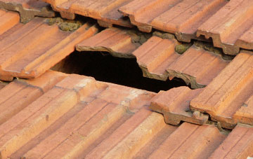 roof repair Peters Marland, Devon